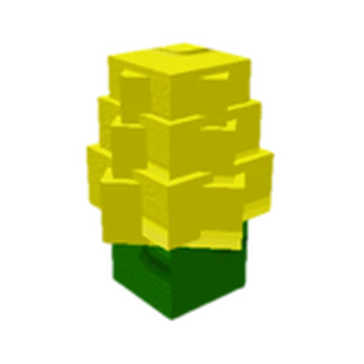 Corn