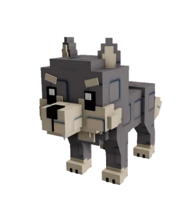 Wolf